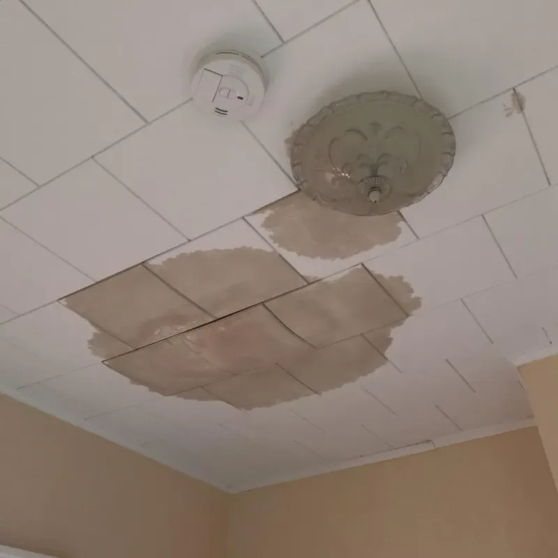 Ceiling Water Damage Repair in Willoughby, OH