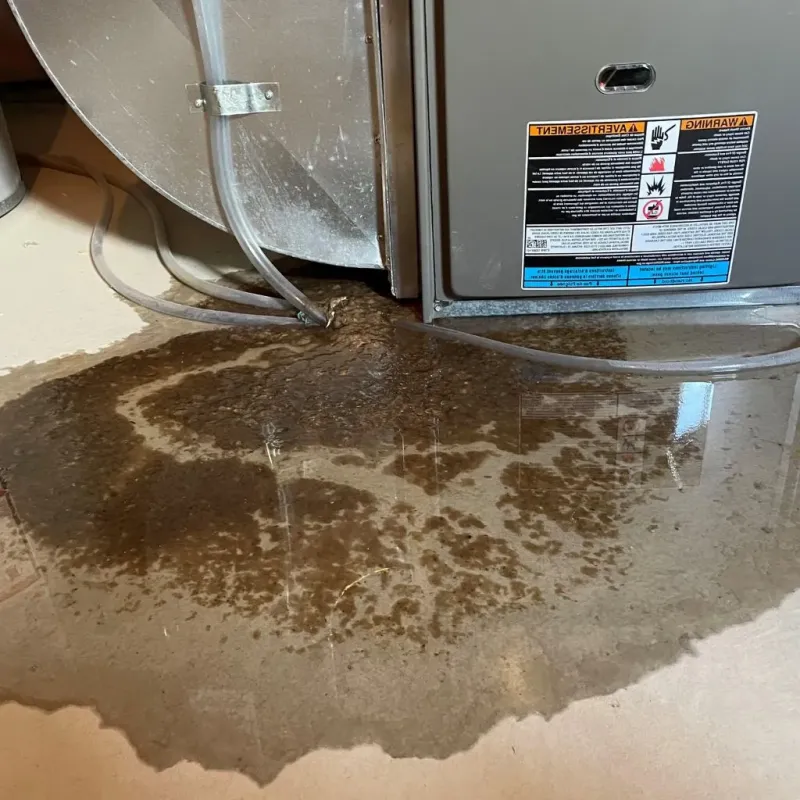 Pipe Burst and Leak Restoration in Willoughby, OH